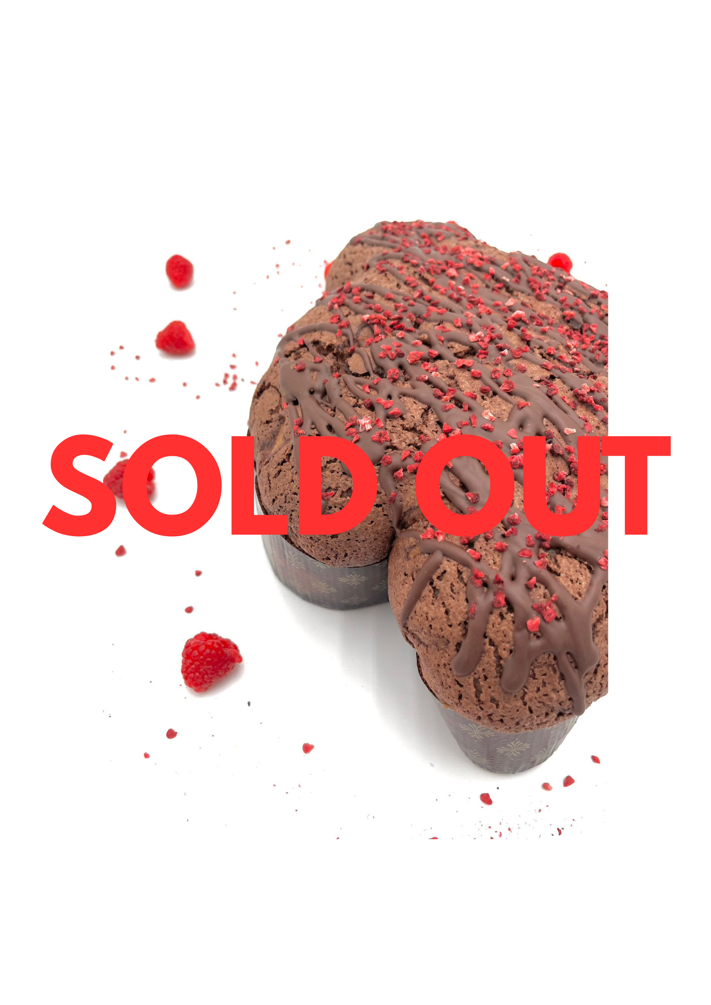 Colomba 1kg CIOCCOLATO e LAMPONI