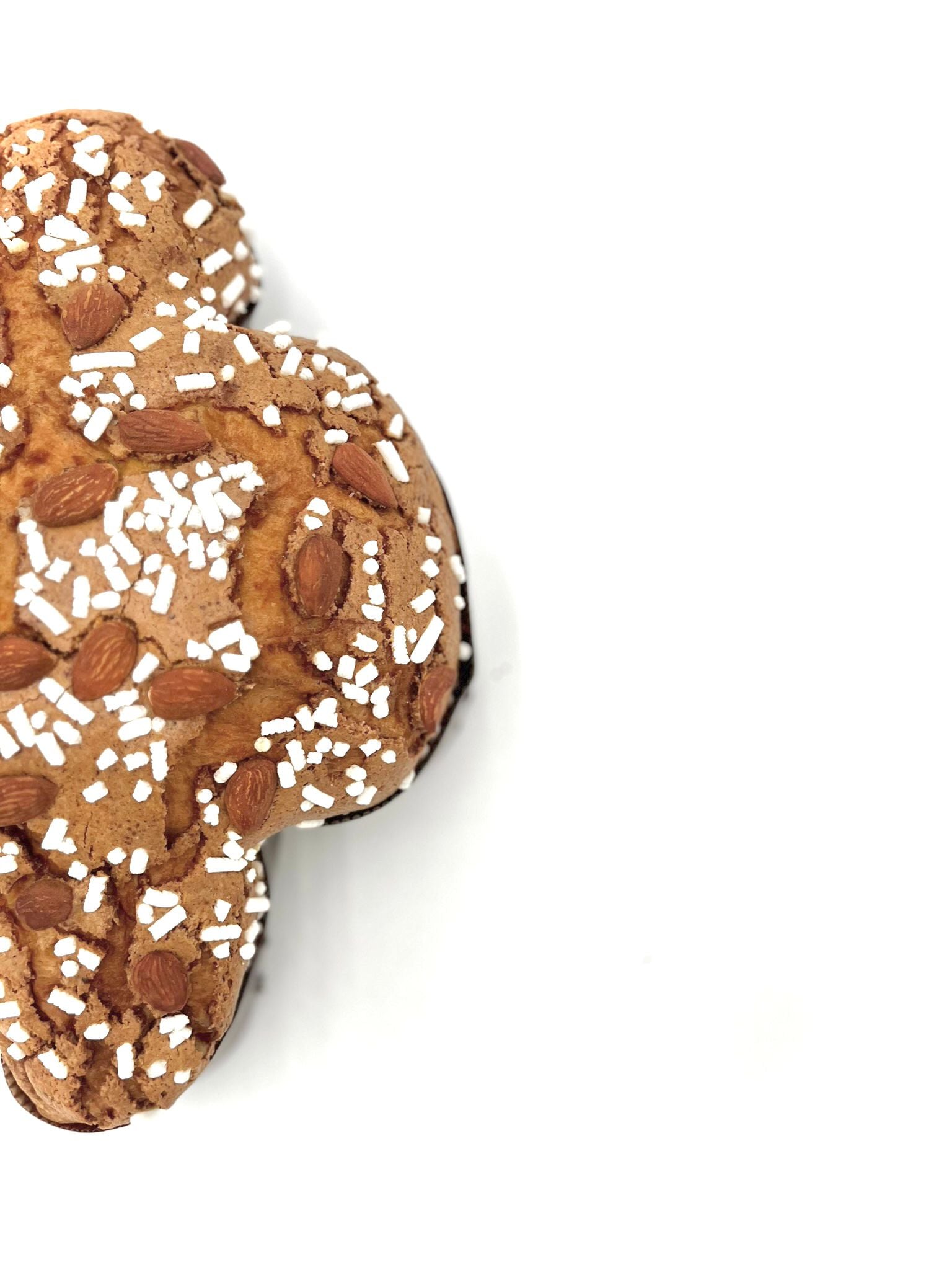 Colomba 1kg CLASSICA